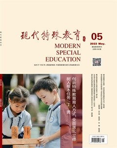 現(xiàn)代特殊教育