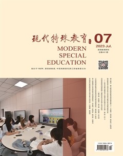 现代特殊教育