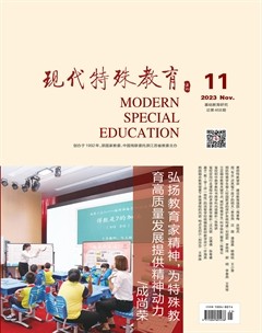现代特殊教育