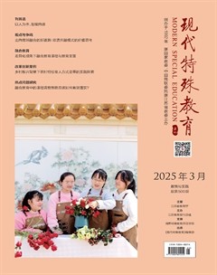 现代特殊教育