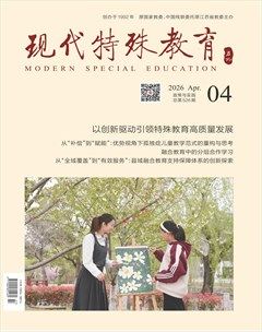 现代特殊教育