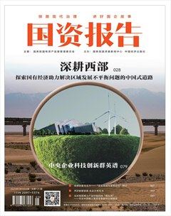 國資報(bào)告