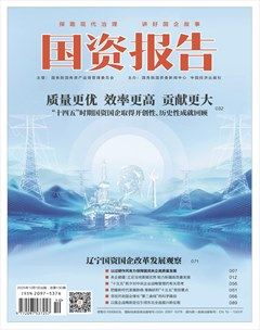 国资报告