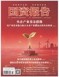 国资报告