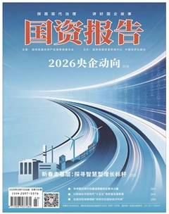 国资报告