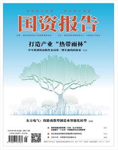 国资报告