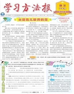 学习方法报·小学语文五年级