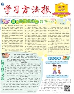 学习方法报·小学语文五年级