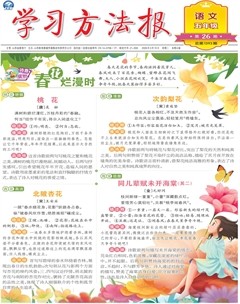 学习方法报·小学语文五年级