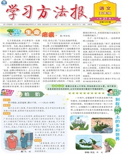 学习方法报·小学语文五年级