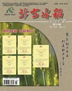 北方水稻