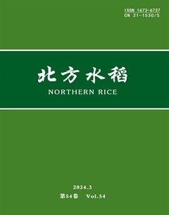 北方水稻