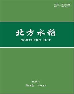 北方水稻