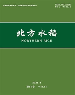 北方水稻