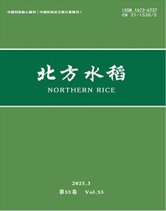 北方水稻