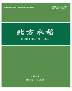 北方水稻