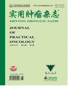 实用肿瘤杂志