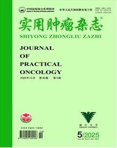 实用肿瘤杂志