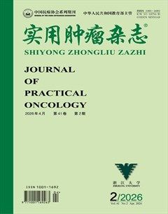 实用肿瘤杂志