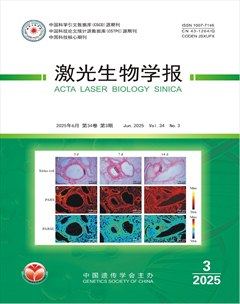 激光生物学报