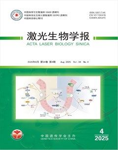 激光生物学报
