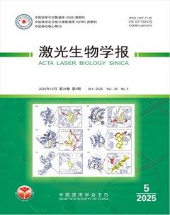 激光生物学报