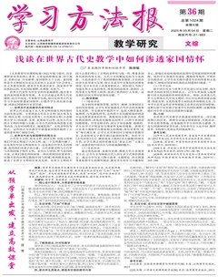 学习方法报·教学研究（文综）