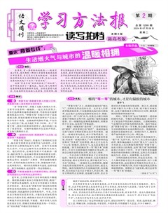 学习方法报·读写拍档新高考版