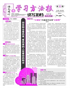 学习方法报·读写拍档新高考版