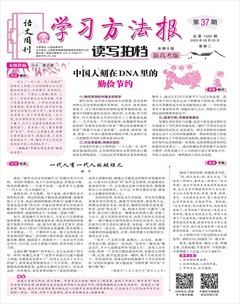 学习方法报·读写拍档新高考版