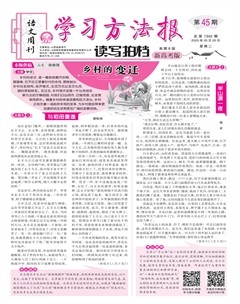 学习方法报·读写拍档新高考版