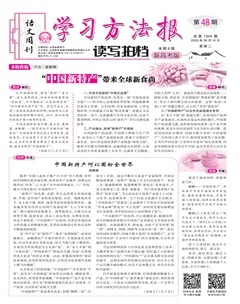 学习方法报·读写拍档新高考版