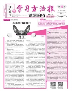 学习方法报·读写拍档新高考版