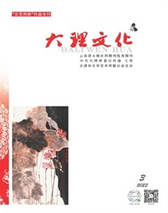 大理文化