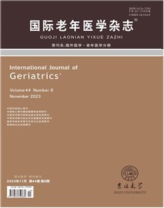 国际老年医学杂志