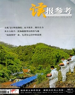 读报参考
