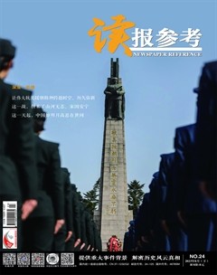 读报参考