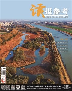 读报参考