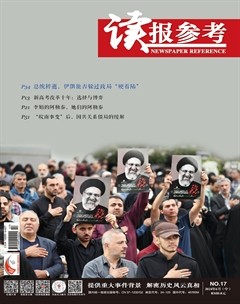 读报参考