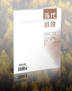 當(dāng)代小說