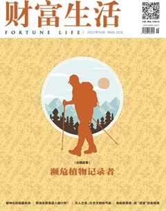 财富生活·上半月