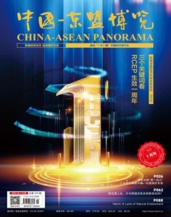中国-东盟博览