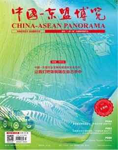 中国-东盟博览