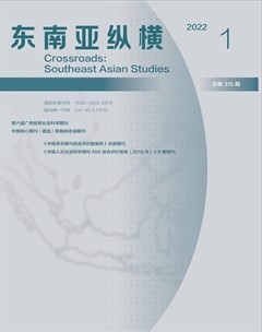 东南亚纵横