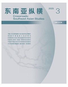 东南亚纵横
