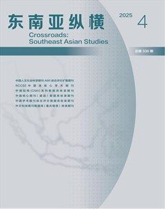 东南亚纵横