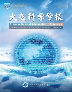 大气科学学报