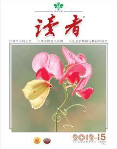 2012年第15期