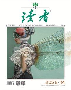 读者