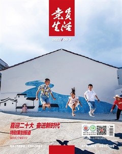 党员生活·下